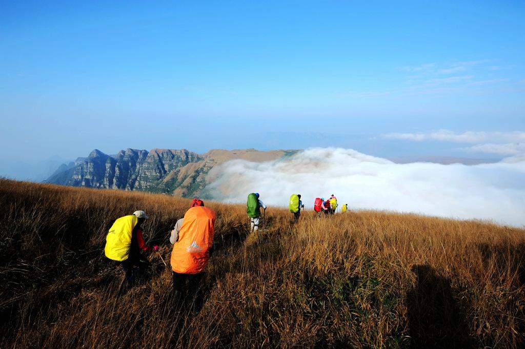 想看大草原是去西藏还是新疆,想看草原去哪里合适