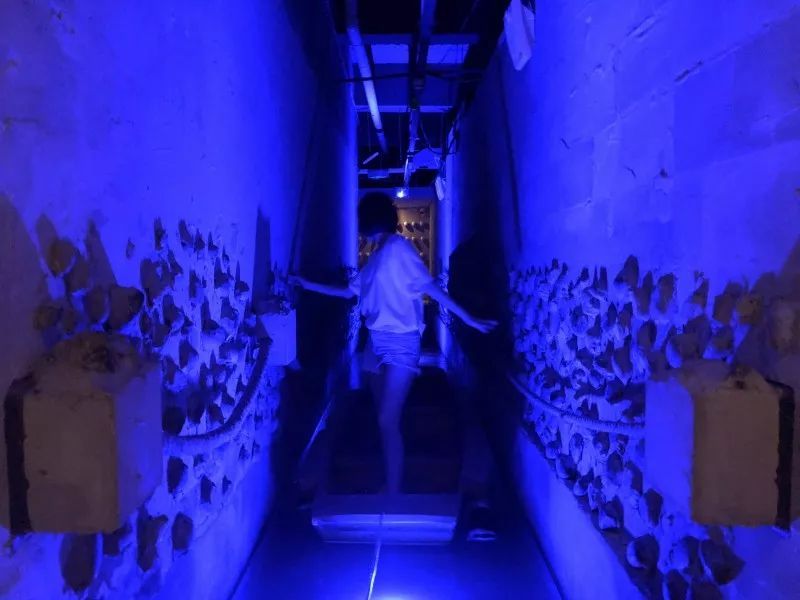 深圳鬼屋排名前十名,深圳最恐怖的鬼屋