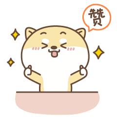 中国小学生的十首最火的战歌,小学生暴风式脚速