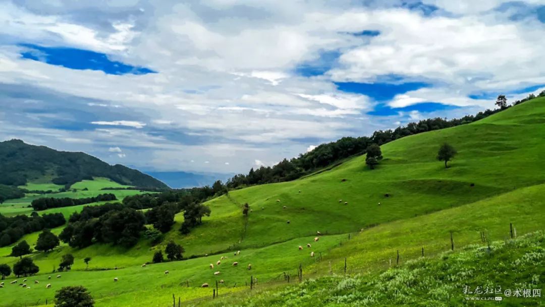 寻甸凤龙青青草原,寻甸凤龙山草原