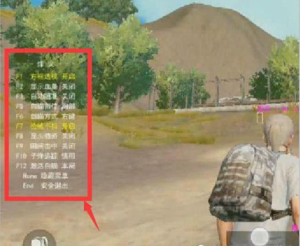 刺激战场最恐怖的外挂,刺激战场吃鸡主播必备