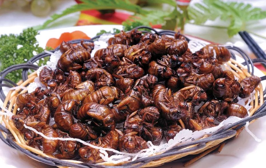 峡谷最美的温泉,必去的真温泉