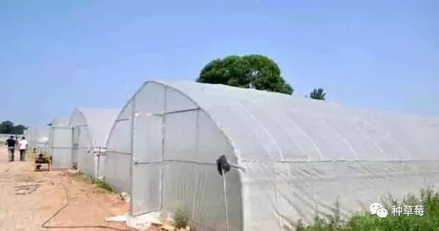 温室大棚120平方米建造价格一览表,温室大棚建造哪里最好