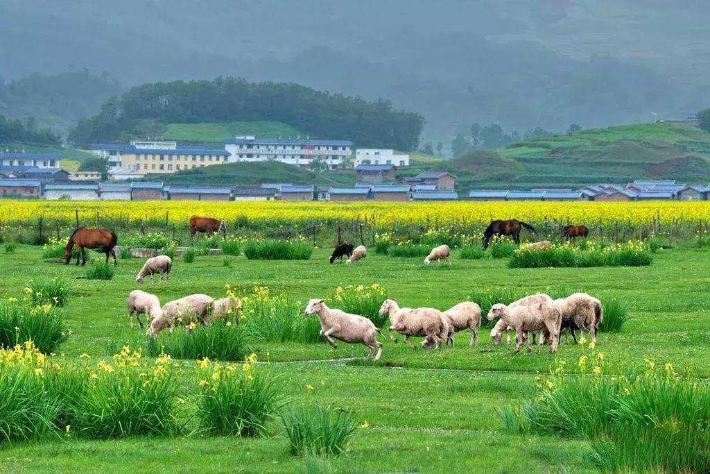 夏天应该怎么去旅游凉快,为什么夏天是最好的旅行时间