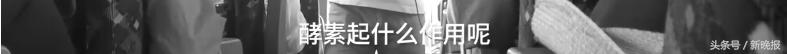 日本“坑爹游”专坑中国人:一个水杯3000元,导游说能“续命”