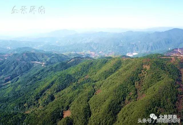 若到屏南赶上夏，千万和水玩