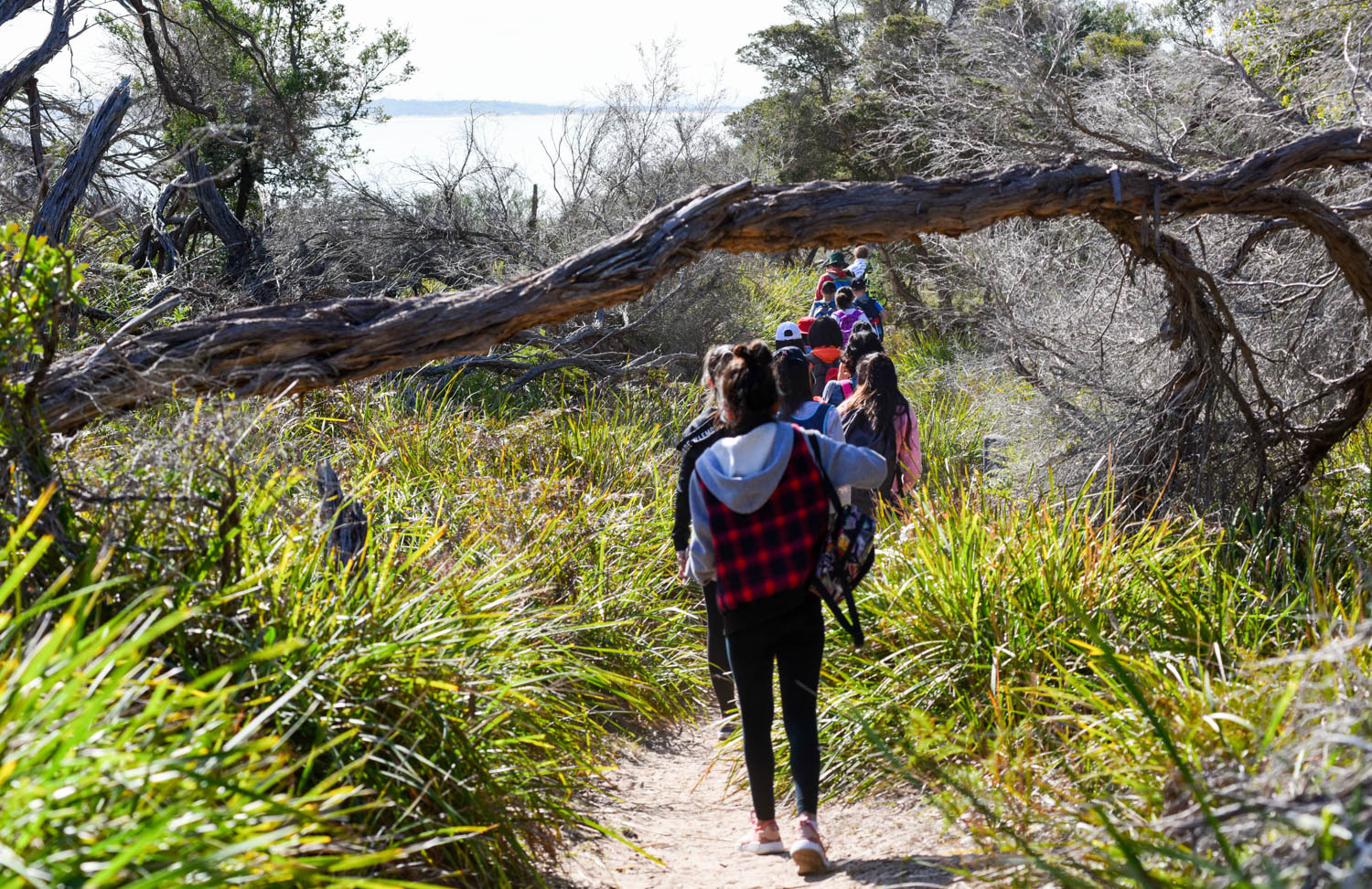 悉尼皇家国家公园图片,悉尼海港国家公园