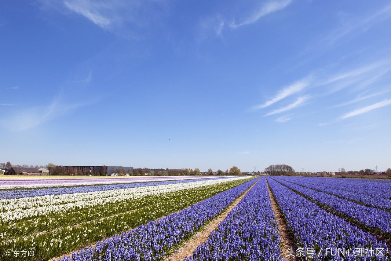 直方图详细教程,直方图拍摄技巧和方法