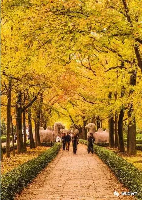 醉美中国——江苏