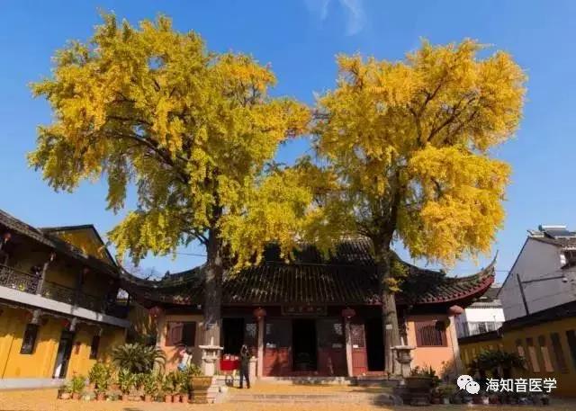 醉美中国——江苏