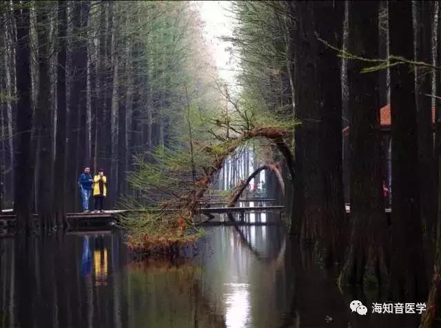 醉美中国——江苏