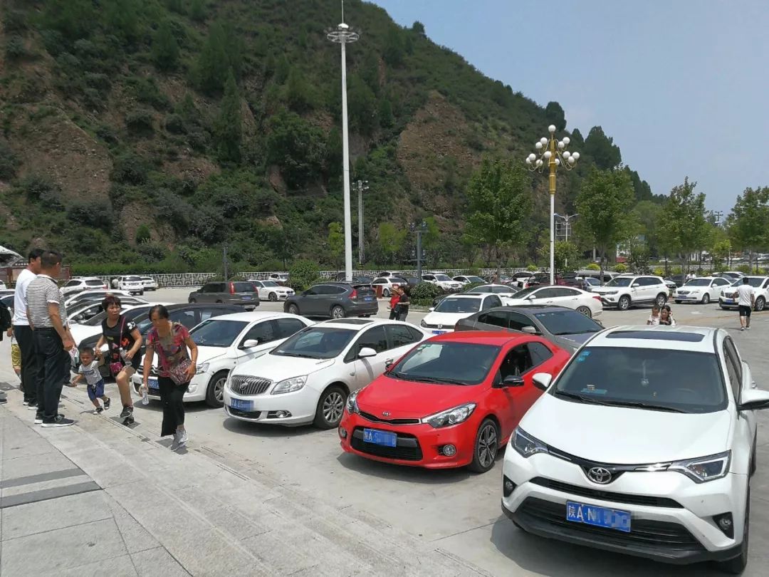 人从众的模式,人从众