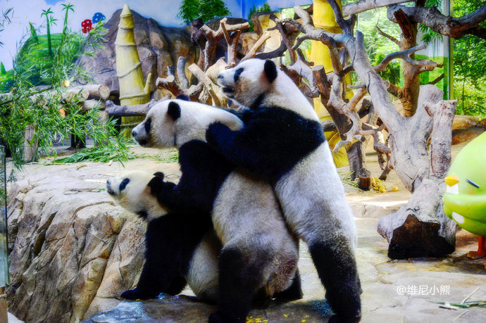 暑假珠海长隆最全游玩攻略,珠海长隆海洋王国暑假门票多少钱