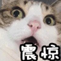 深圳最新的一个超级公园,深圳美景免费景点