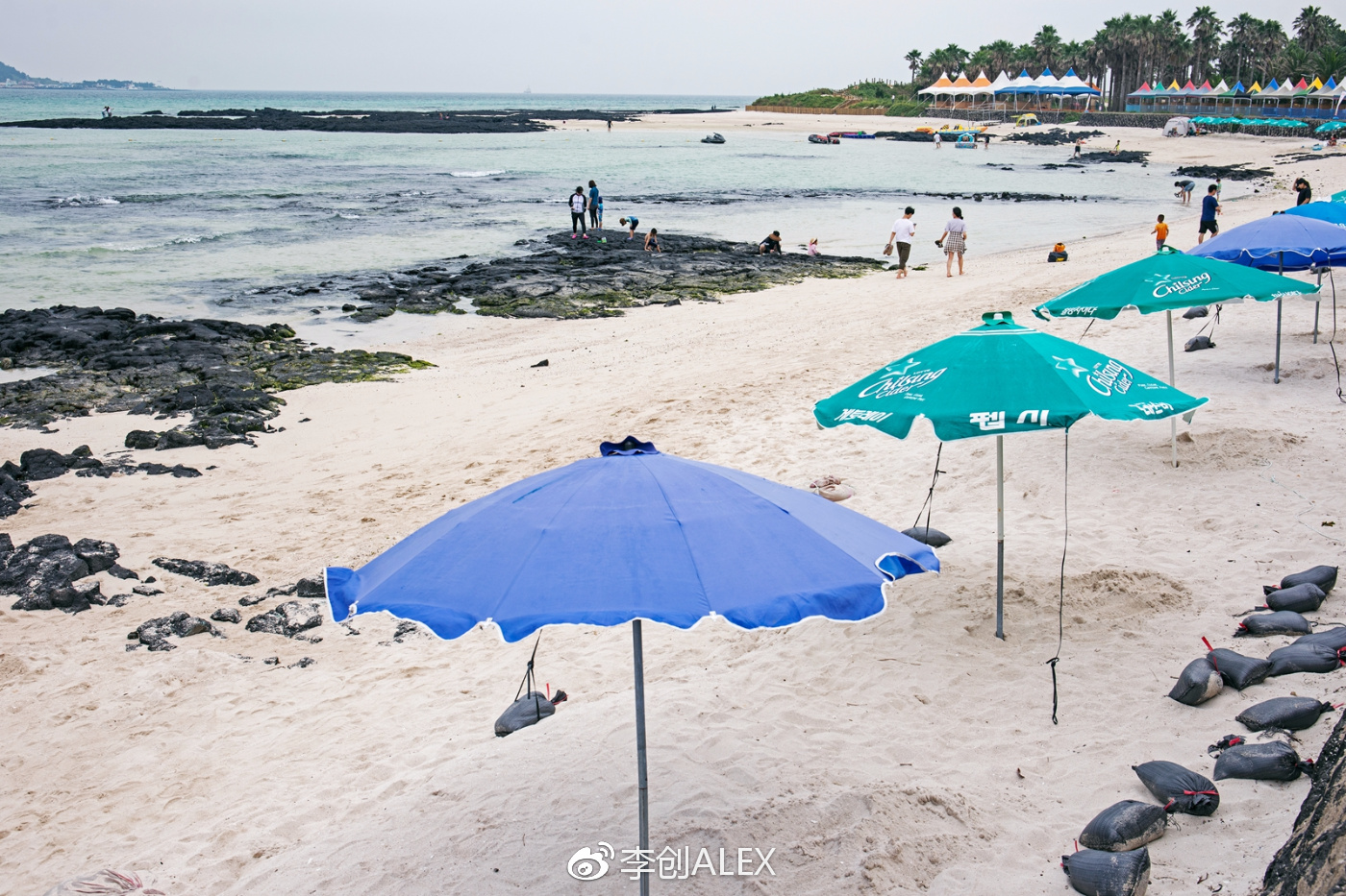 济州岛即将上演的童话世界,去济州岛旅行的感受