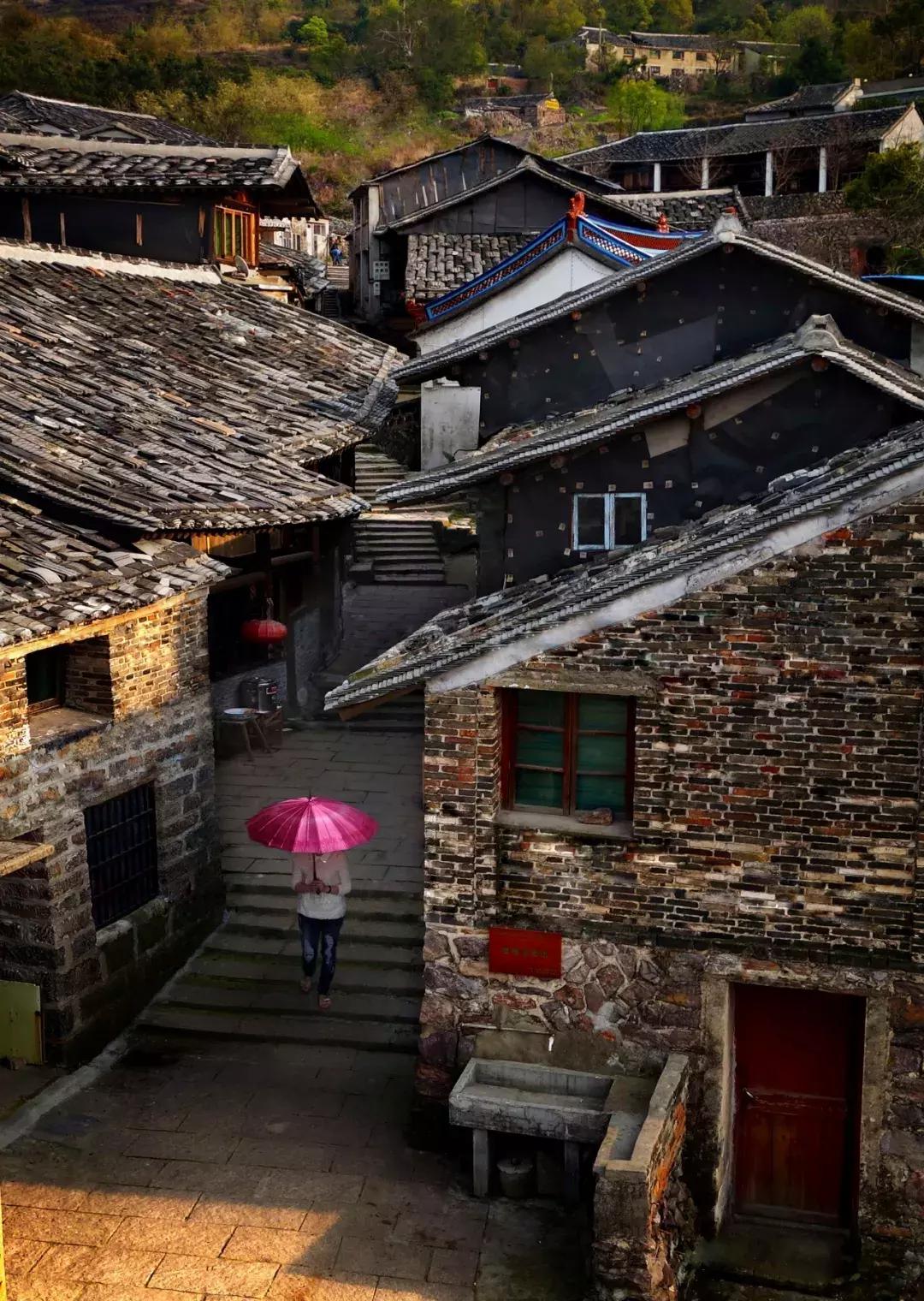 苍南深山,苍南隐秘的地方