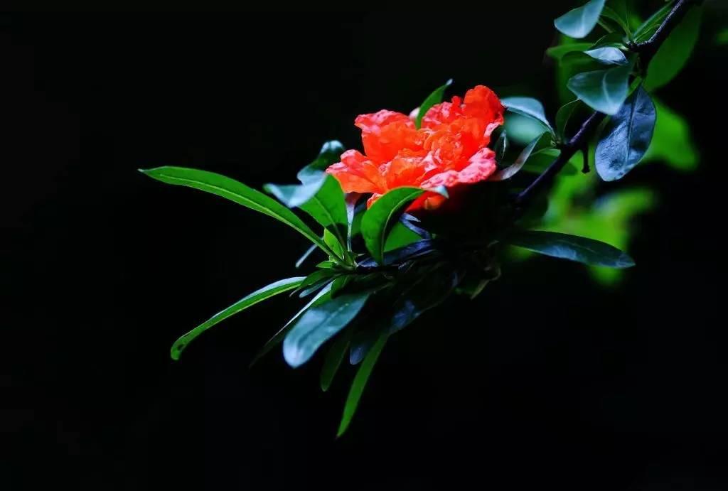 白燕升大登殿,白燕升与李胜景