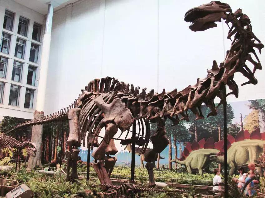 性格最凶猛的雷龙,雷龙凶猛的样子