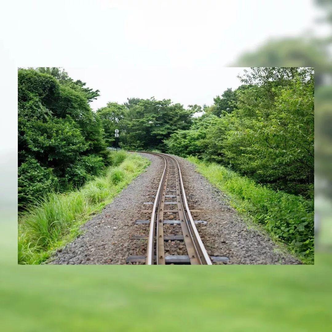 济州岛出游攻略视频大全,济州岛旅行避坑攻略最新