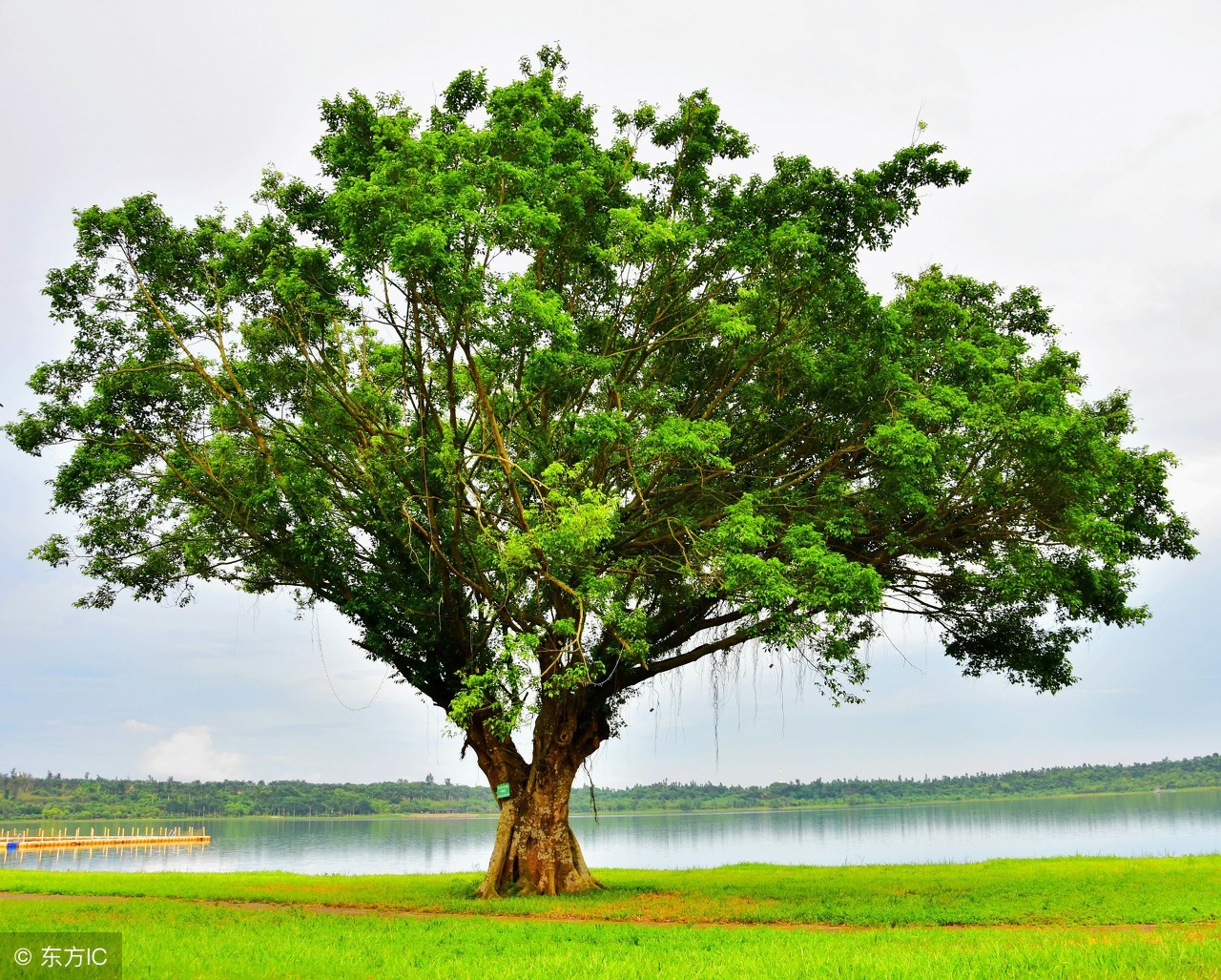 脸皮厚怎么快速解决,脸皮薄怎么办教你一招解决