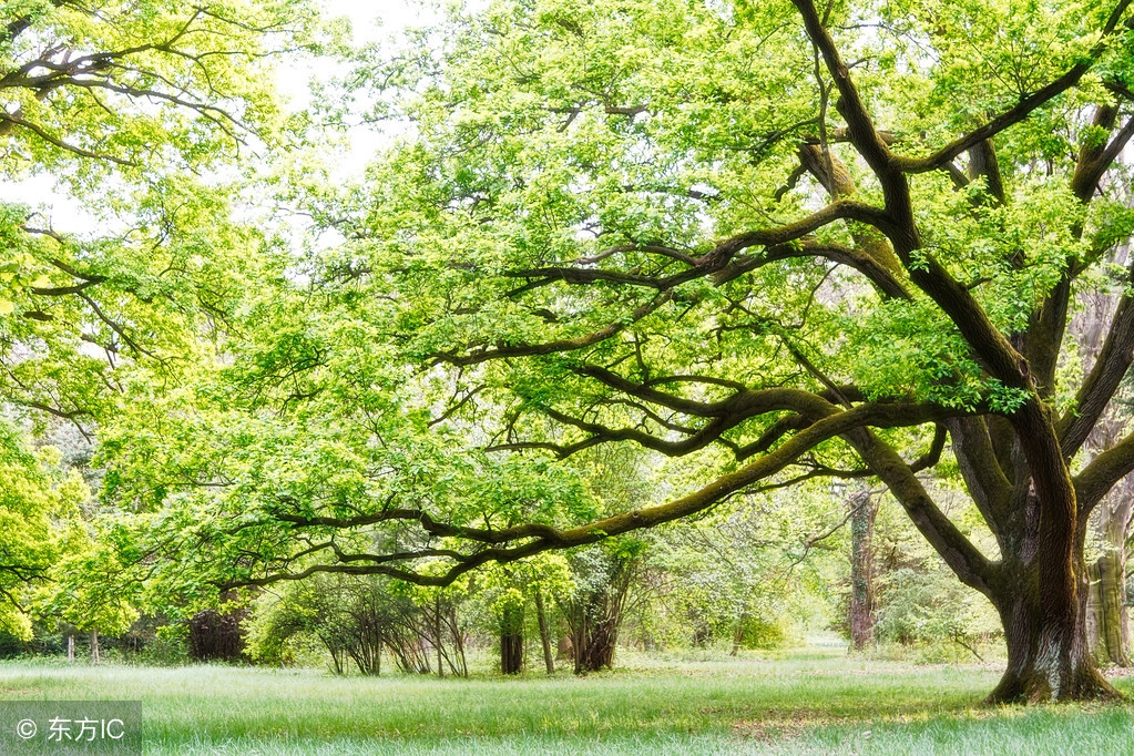 脸皮厚怎么快速解决,脸皮薄怎么办教你一招解决
