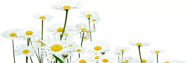 mark谈工作,mark进公司时间