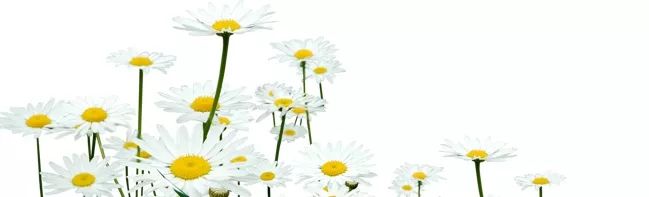 mark谈工作,mark进公司时间