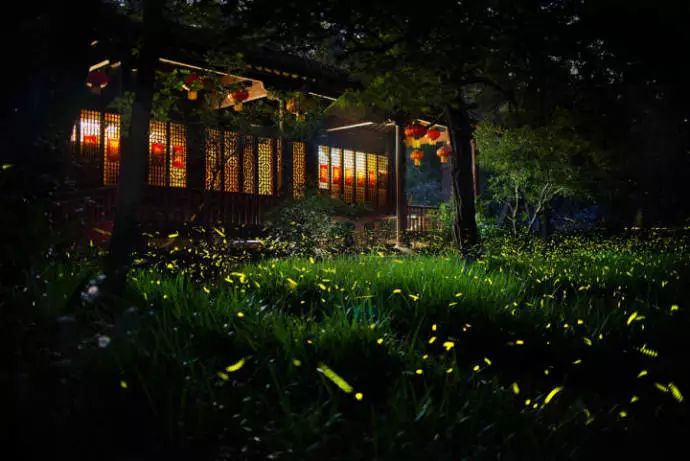 立秋暑去凉来一叶知秋,立秋暑气渐敛一叶知秋