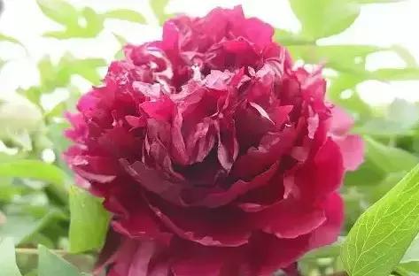 8.8发财日的祝福,8月18日发财日早安祝福图片