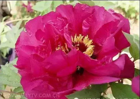 8.8发财日的祝福,8月18日发财日早安祝福图片