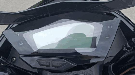 高颜值蚂蚱,漂亮巨型蚂蚱