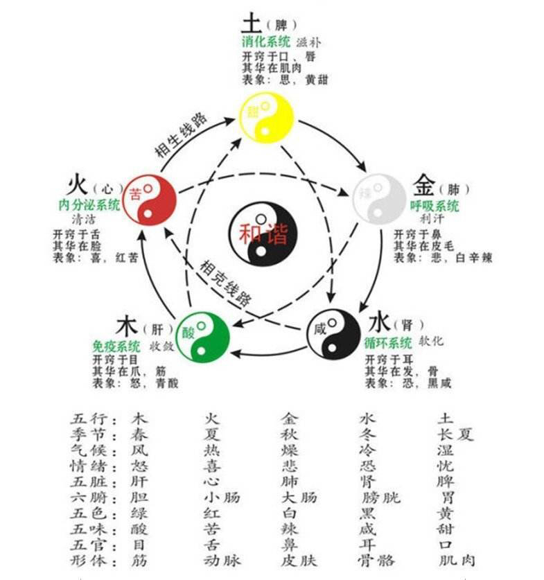 董老师中医阴阳五行学说视频讲座,中医五行学说记忆口诀