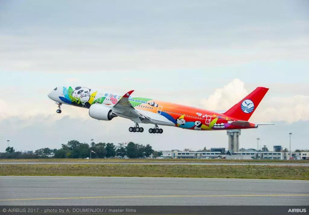 川航客机奇迹归来,川航第一架宽体客机