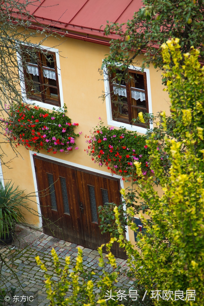 满城书香,如果”姿势“不够,你都不敢轻易来这座荷兰小城!