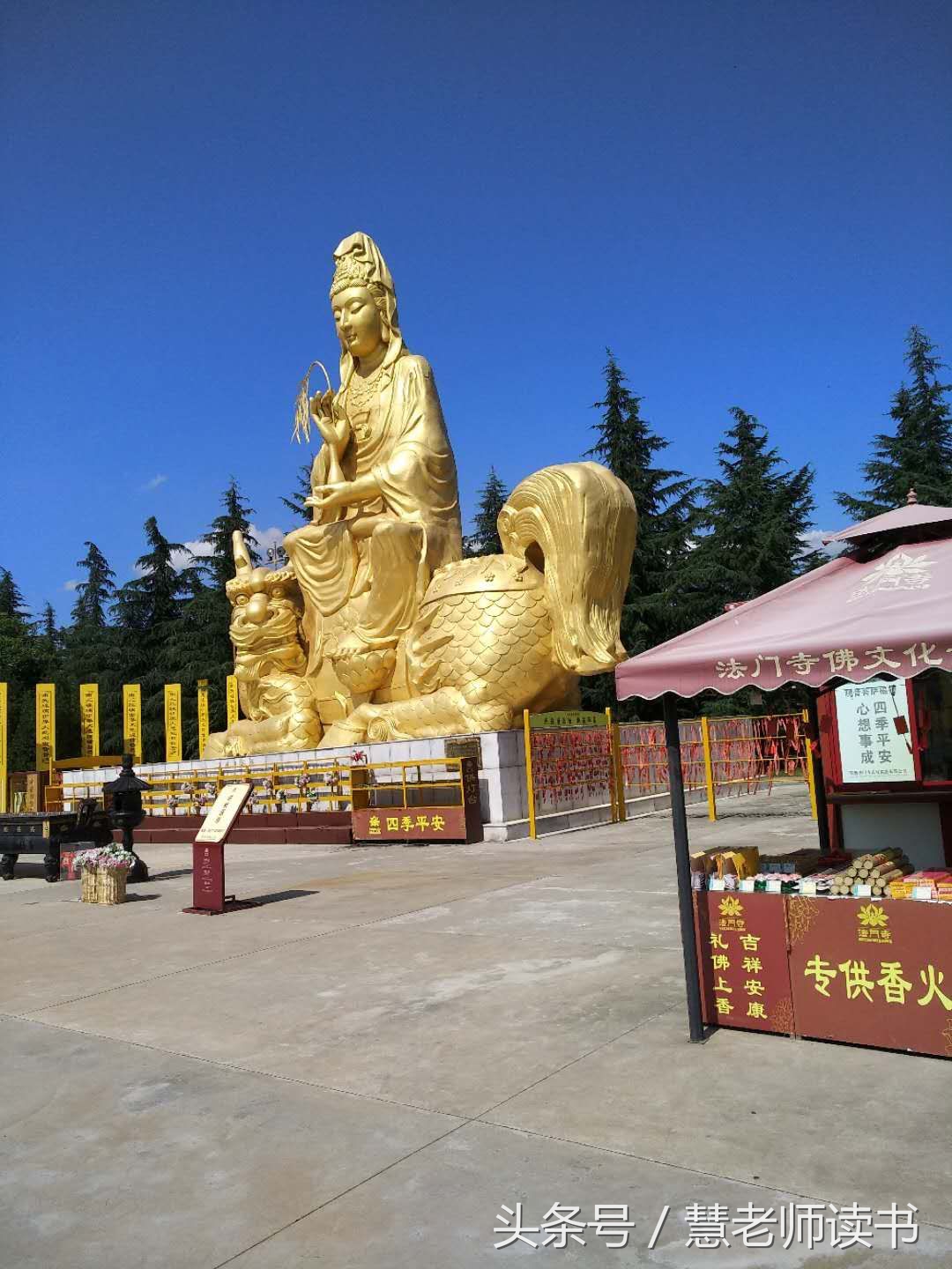 游览乾陵、懿德太子墓、法门寺（陕西行第四天）