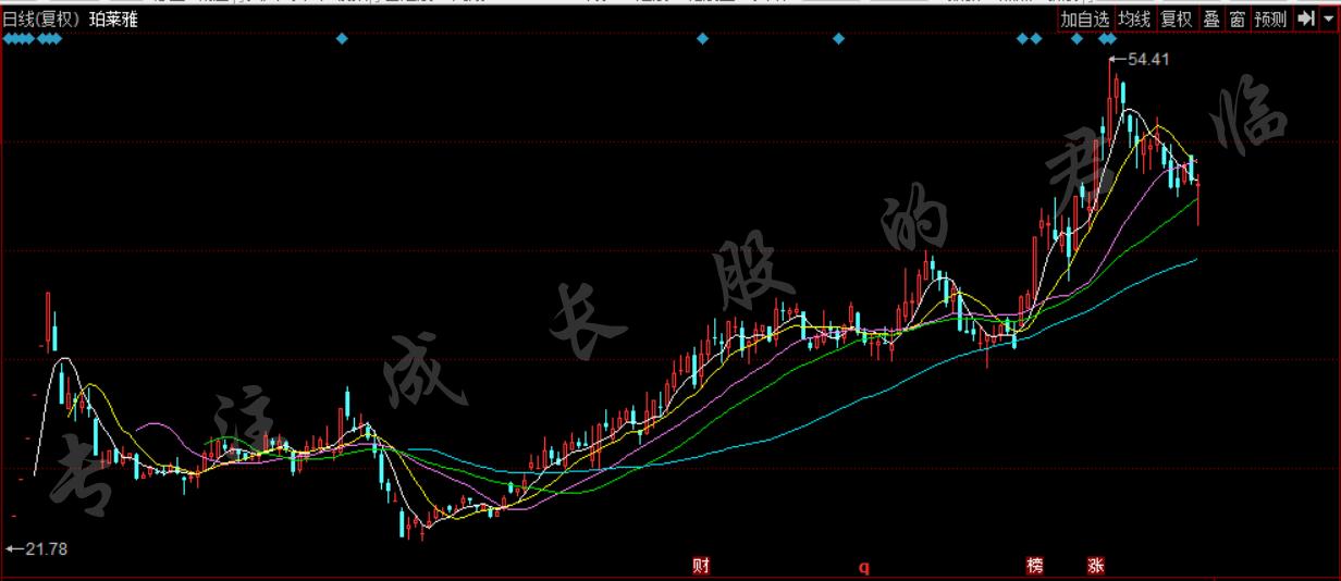 老实男人被女人盯上,靠女人吃饭被人看上