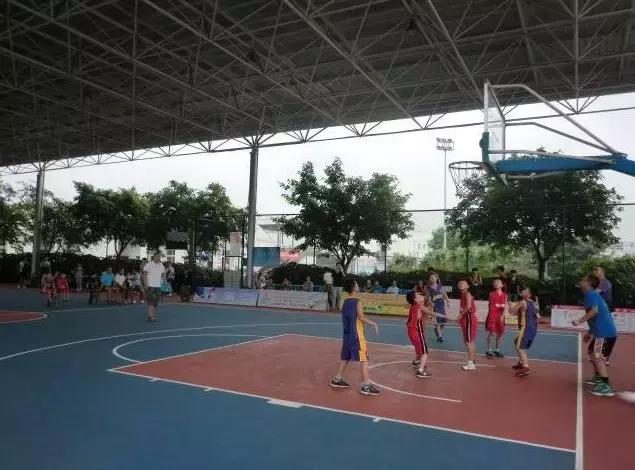 成都155个公共体育场馆免费,成都体育场有序开放