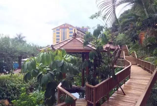 云顶温泉度假酒店无边际泳池,云顶温泉大酒店有多少家