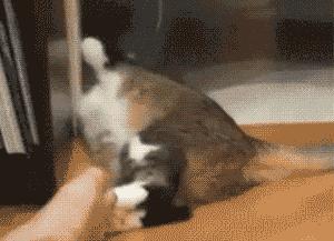 平价纯露哪个好用,小红书很火的大牌护肤品