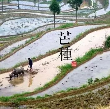 农事的儿歌大全,农事歌大全