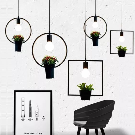 适合大白墙的绿植,把绿植挂在墙上