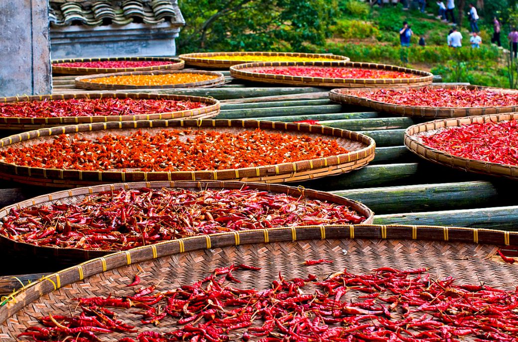 秋天最美婺源,秋季的婺源据说很美