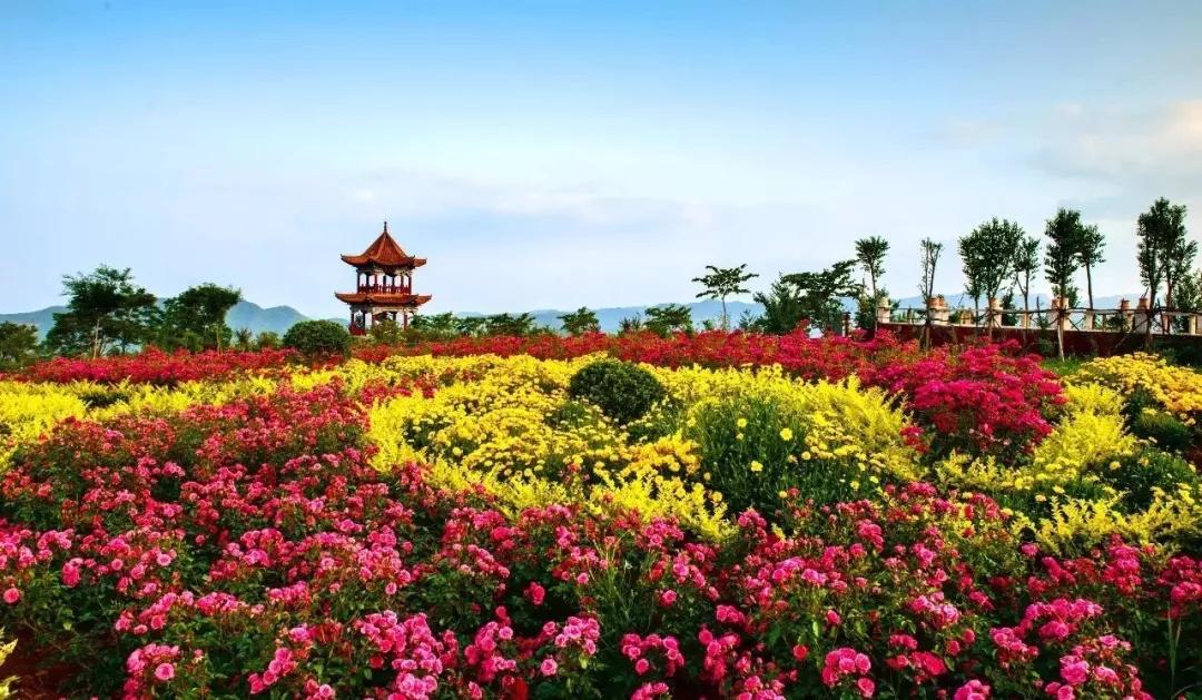 河南五一假期适合情侣旅游攻略,河南情侣适合去的旅游地方推荐