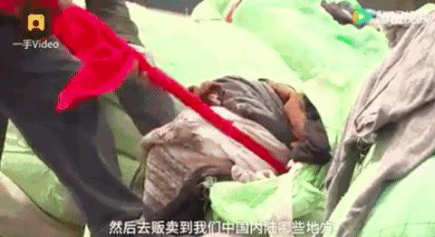 惊天黑幕！HM，ZARA等快时尚品牌的牛仔裤，已导致多*皮人**肤腐烂，恶臭，不孕...