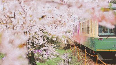 西安到昆明2天旅游攻略,西安到昆明旅游最佳路线