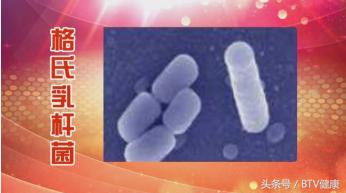 胰腺炎合并电解质紊乱,胰腺紊乱和糖尿病的区别