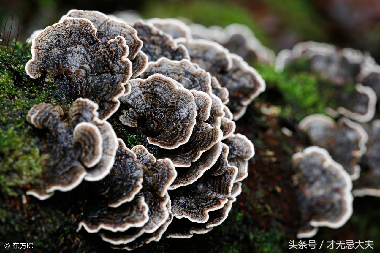 类风湿性关节炎的预防和治疗方法,类风湿性关节炎怎么治疗好得快