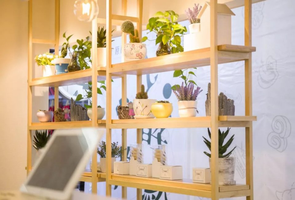 小确茶丨确认过眼神，这是8月我最想去的地方！