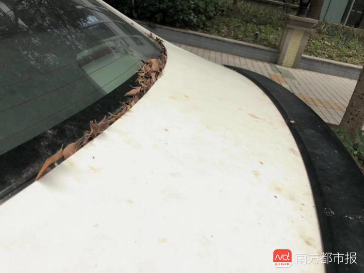 经常镀膜镀晶车漆会变薄吗,汽车镀晶镀膜会伤车漆吗