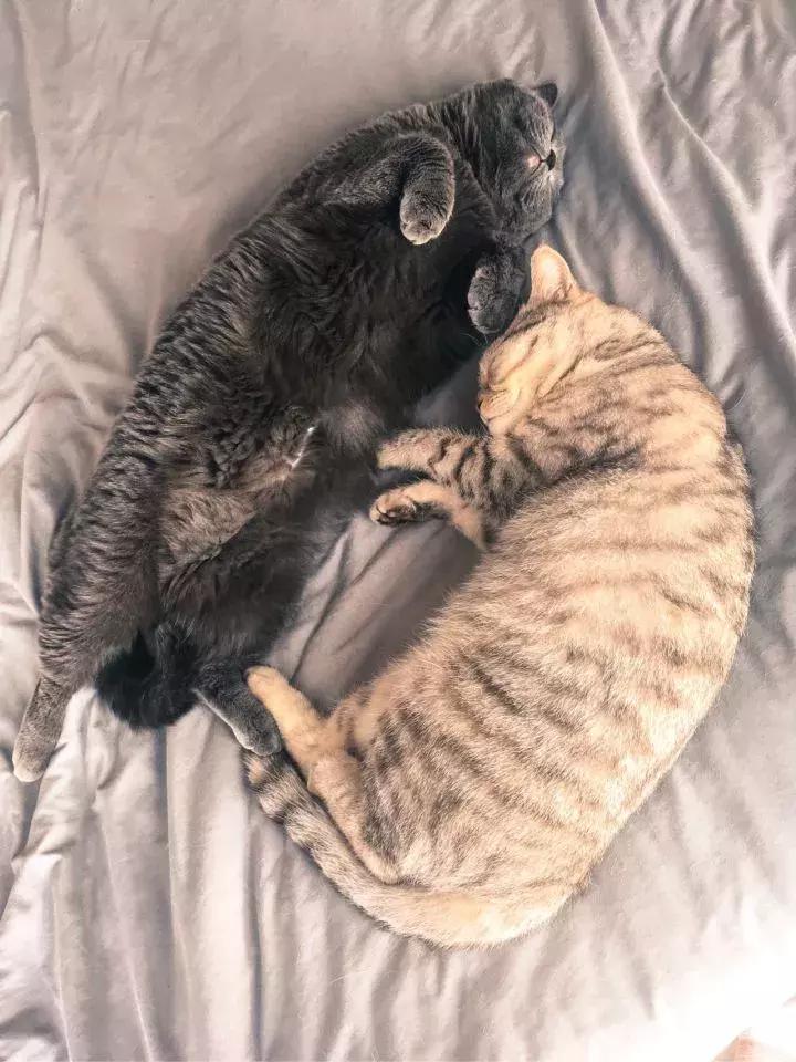 你享受过免费叫醒服务吗,你享受过免费的叫醒服务吗